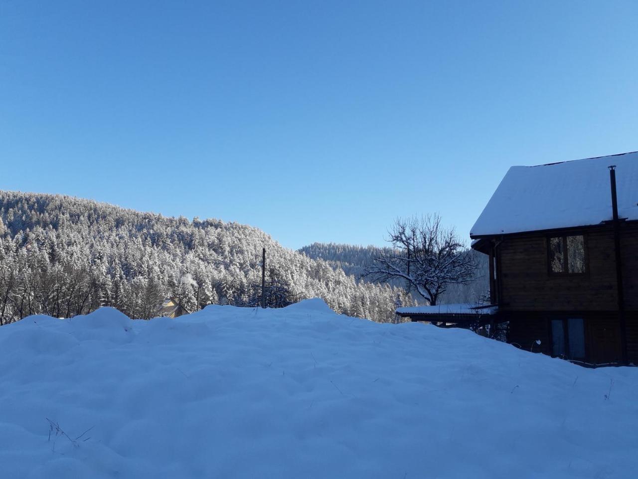 Hotel Krym Jaremče Exteriér fotografie